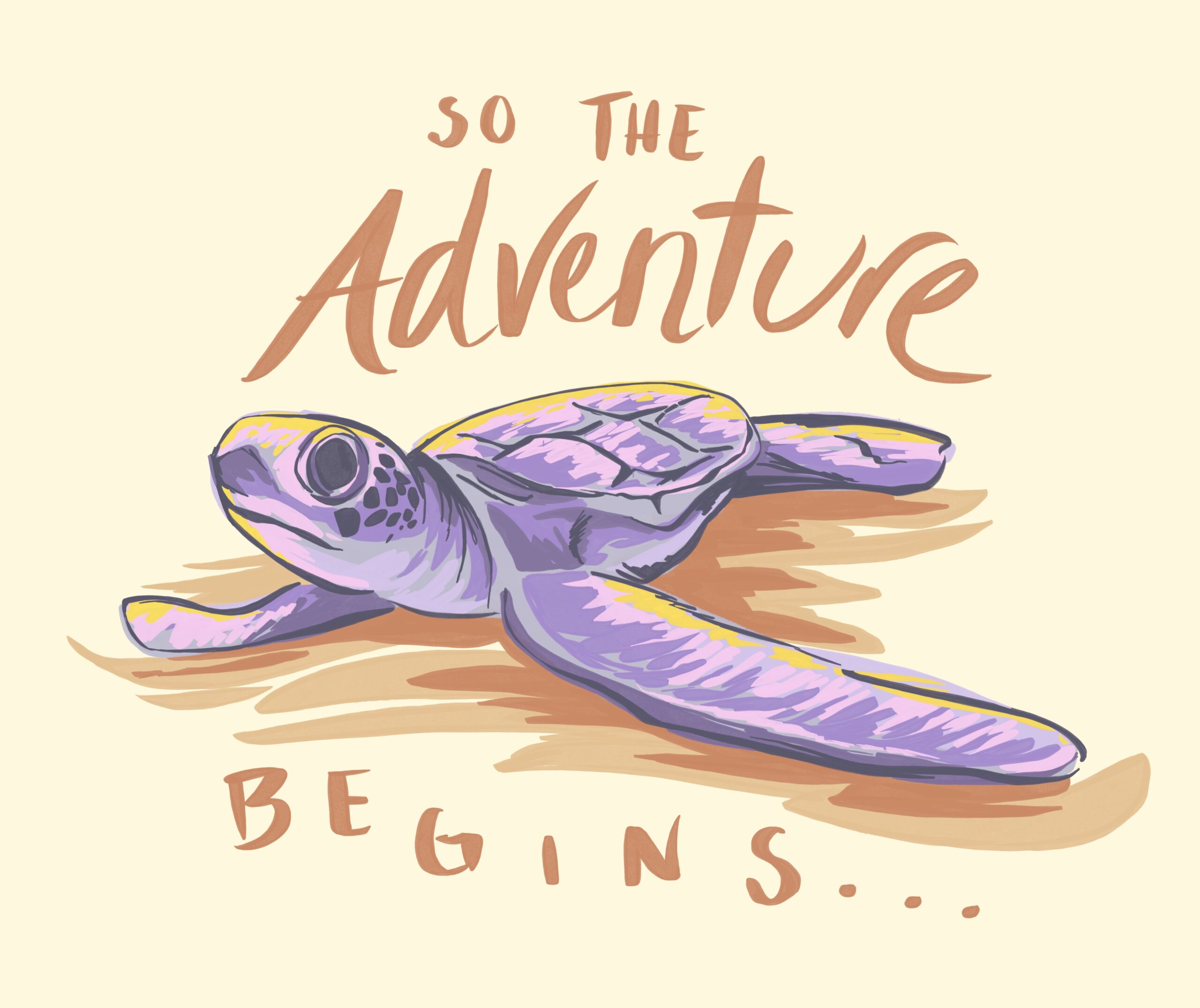 Baby turtle, illustrated by Vania Hardy Baby turtle, illustrated by Vania Hardy